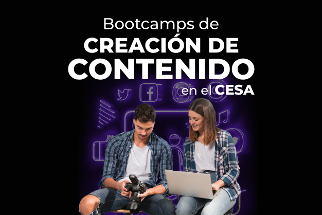 Bootcamp Creación de contenido